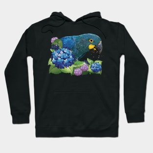 Lear's Macaw Hoodie